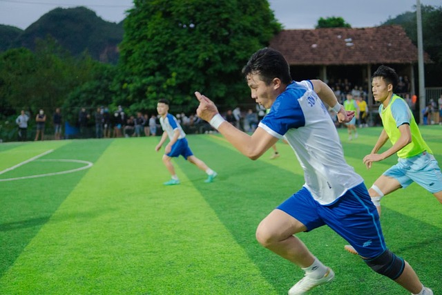对于尼克斯